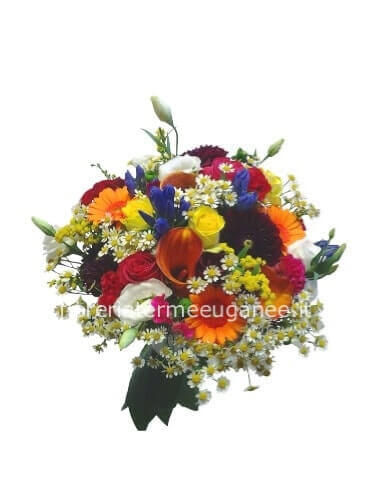 Bouquet assortito di fiori freschi colorati. » Fiori a Torreglia e Terme  Euganee. Fiorista a Torreglia per acquisto, invio e consegna a domicilio di  fiori e piante a Torreglia e Terme Euganee.